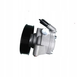 Китай Насос гідропідсилювача для FORD B49110 41925, EO-0043288