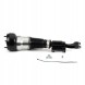 Arnott AS-336 76 2x повітряні амортизатори Arnott FRONT L+R для MERCEDES-BENZ S-CLASS