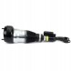 Arnott AS-336 76 2x повітряні амортизатори Arnott FRONT L+R для MERCEDES-BENZ S-CLASS