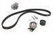 Dayco KTBWP3170 Водяна помпа + комплект ременя грм dayco ktbwp3170