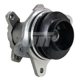 210108796R RENAULT Насос системи охолодження