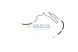 Vaico V10-4643 Шланговий шнур системи гідропідсилювача v10-4643 vaico