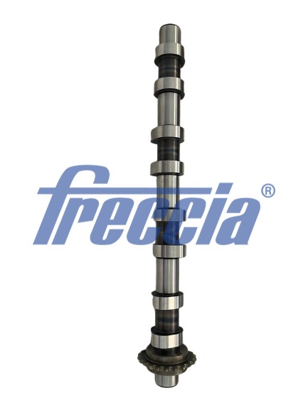 CM05 2418 FRECCIA Розподільчий вал