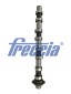 CM05 2418 FRECCIA Розподільчий вал