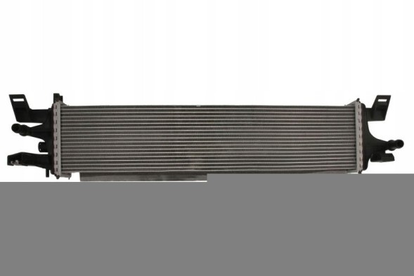 Thermotec DAG020TT Охолоджувач впускного повітря thermotec dag020tt
