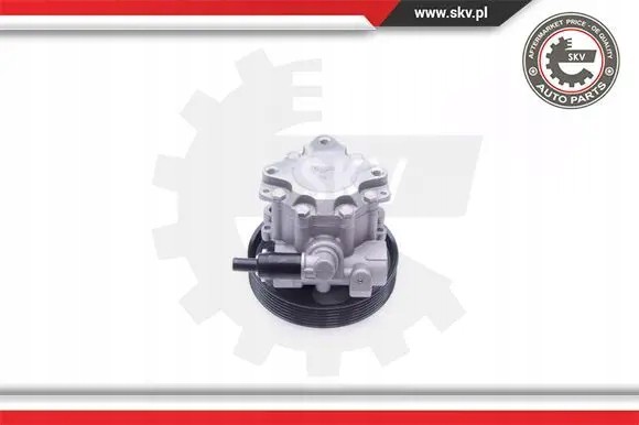 SKV 10SKV240 Насос гідропідсилювача 10skv240 esen skv