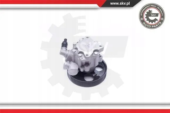 SKV 10SKV240 Насос гідропідсилювача 10skv240 esen skv