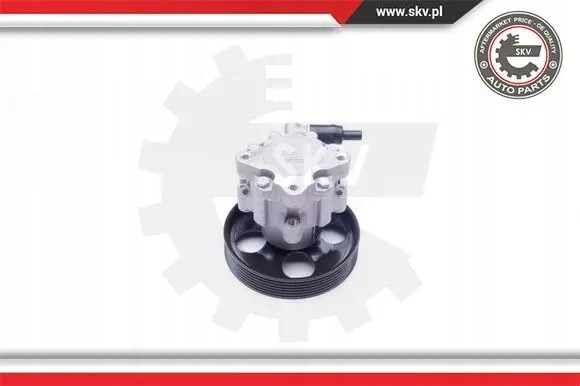 SKV 10SKV240 Насос гідропідсилювача 10skv240 esen skv