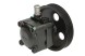 AD BRAKE VIC-261724 Гідравлічний насос кермового управління LAU 55.5020 для VOLVO C70 I coupe,