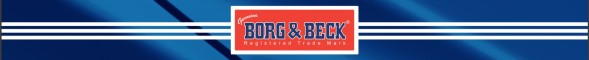 Borg &amp; Beck BWK1123 Комплект підшипників колеса
