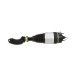 Arnott AS-323 65 2x повітряні амортизатори Arnott FRONT L+R для PORSCHE, VW CAYENNE II