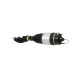 Arnott AS-323 65 2x повітряні амортизатори Arnott FRONT L+R для PORSCHE, VW CAYENNE II