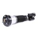 Proteile A2203202138 Airautopl ПНЕВМАТИЧНИЙ АМОРТИЗАТОР AIRMATIC ЛІВИЙ ПЕРЕДНІЙ MERCEDES S-KLASA W220 4MATIC