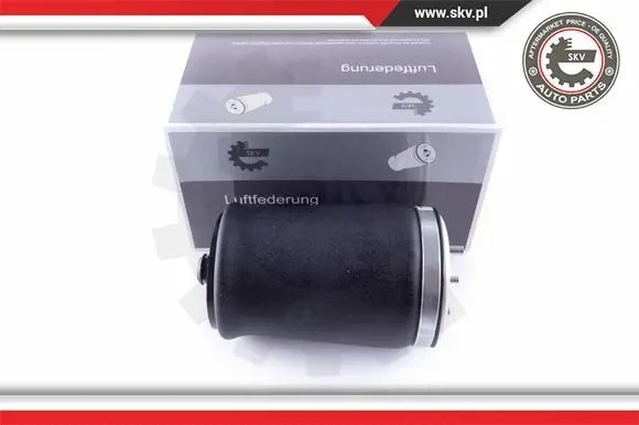 ESEN SKV 58SKV00 43 2x ESEN SKV сильфон повітряної подушки ЗАДНІЙ L+R для BMW X3 E53
