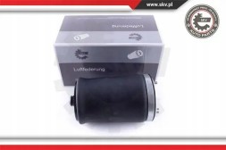 ESEN SKV 58SKV00 43 2x ESEN SKV сильфон повітряної подушки ЗАДНІЙ L+R для BMW X3 E53