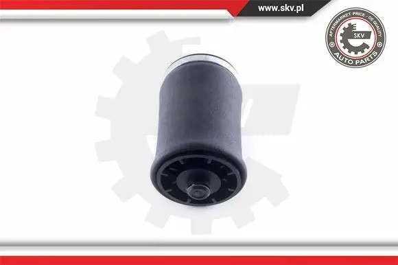 ESEN SKV 58SKV00 43 2x ESEN SKV сильфон повітряної подушки ЗАДНІЙ L+R для BMW X3 E53