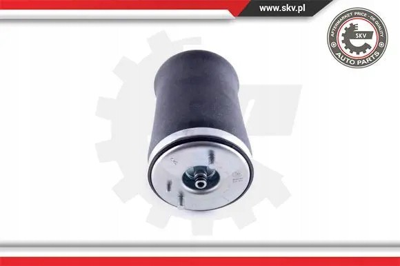 ESEN SKV 58SKV00 43 2x ESEN SKV сильфон повітряної подушки ЗАДНІЙ L+R для BMW X3 E53