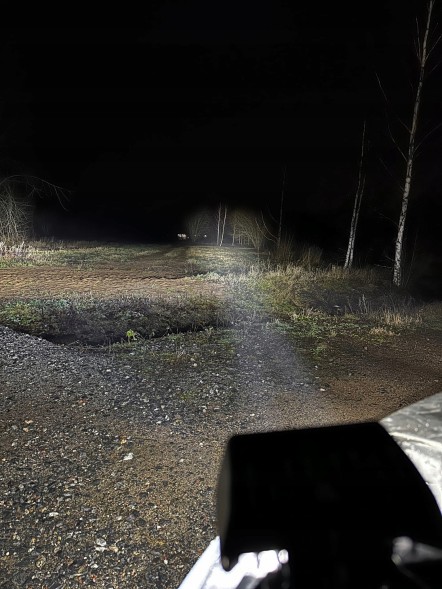 PURELUX  Робоча / додаткова лампа purelux panther alpha 20 - 10см / 20w / spot