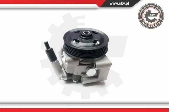 ESEN SKV 10SKV215 Насос гідропідсилювача 10скв215 esen skv