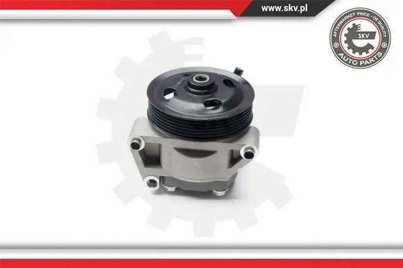 ESEN SKV 10SKV215 Насос гідропідсилювача 10скв215 esen skv
