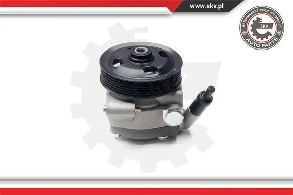 ESEN SKV 10SKV215 Насос гідропідсилювача 10скв215 esen skv