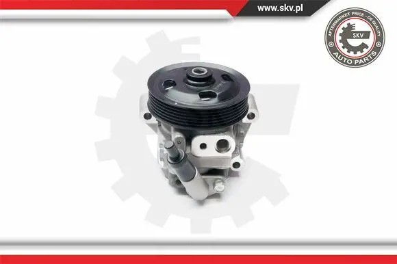 ESEN SKV 10SKV215 Насос гідропідсилювача 10скв215 esen skv