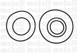 24 1010 METELLI Водяний насос