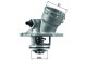 V-maxzone Part VIC-186354 Термостат охолоджуючої рідини TM 45 для MERCEDES C (CL203), C T-MODEL