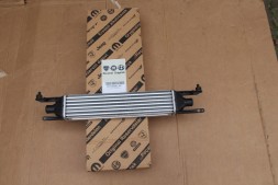 Fiat OE 55700449 Інтеркулер grande punto 1.3 mjtd 55700449