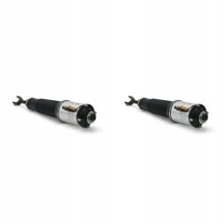 Arnott AS-277 65 2x повітряні амортизатори Arnott FRONT L+R для AUDI A8 D3