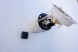 BMW OE BMW E92 N55i 335i 306KM POMPA PALIWA BMW E92 N55 335i 306 к.с. ПАЛИВНИЙ НАСОС