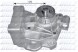 Dolz S168 Водяний насос, охолодження двигуна