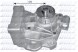 Dolz S168 Водяний насос, охолодження двигуна
