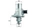 AD BRAKE VIC-153220 Термостат охолоджуючої рідини TM 41 105 для ALFA ROMEO 159; CHEVROLET AVEO,