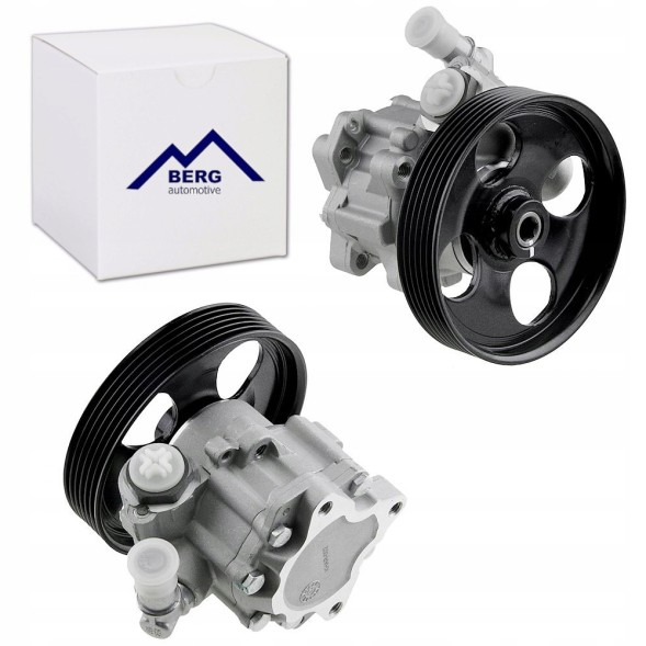 Berg Automotive BERG FR5445 BERG НАСОС ГІДРОПІДСИЛЮВАЧА АЛЬФА РОМЕО 159 1.9 JTDM 05-