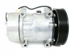 EURO KLIMA EKL38402-ZA 7111048R 813035 8880120398 8FK3 940.20189 98791CAC64KTT090007 5001867206 5010605063 7400965184 7420982063 7482492298 7485004000 82492298 КОМПРЕСОР КОНДИЦІОНЕРА RENAULT MAGNUM (2010-) 7485004000 82492298 DCP23103