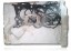 Suzuki OE 11401-50831 SUZUKI SWIFT MK8 - КОМПЛЕКТ ПРОКЛАДОК ДВИГУНА 1.2