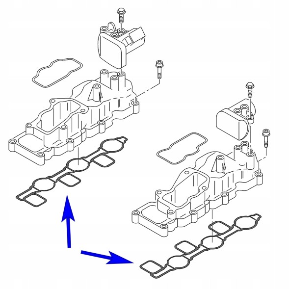 Tafmet ZKWU/3/T+ON-4P Заглушки впускного колектора Tafmet Diesel для Audi/VW 2.7/3.0 TDI