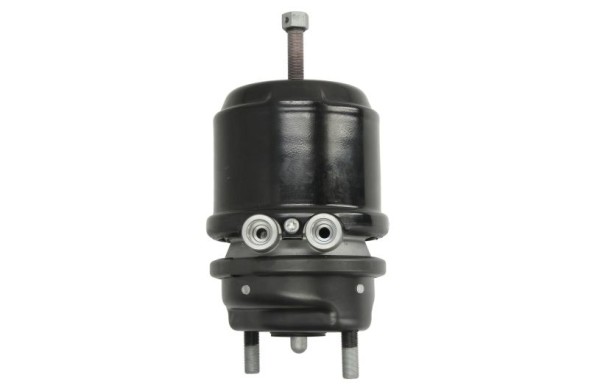 DT Spare Parts 81504106779 MAN 3.74004 Гальмівний циліндр 81504106779 DT Spare Parts; MAN