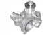Dolz DOLB318/RS3 ВОДЯНИЙ НАСОС DOLL PA5408 PA11026 PA625