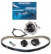 Dayco KTBWP9950 Комплект грм з водяним насосом citroen c4 picasso ii ds 4 ds 5 movano c dayco