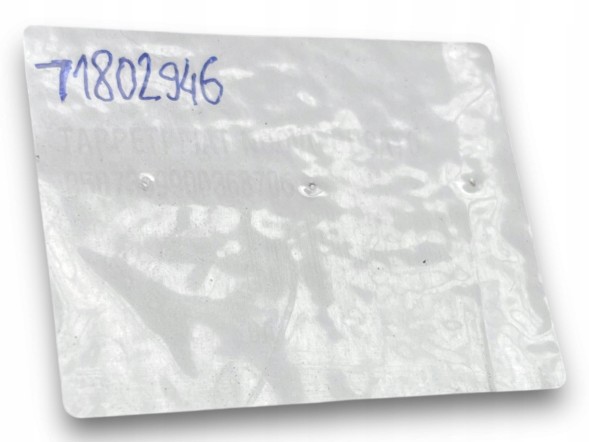 Fiat OE W259 Fiat Ducato КИЛИМКИ ЦІЛІСНІ 2 ШТУКИ FCA OEM 71802946 !J