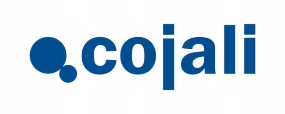 Cojali 4613192730 Клапан гальма mb 814,1317,1529 cojali