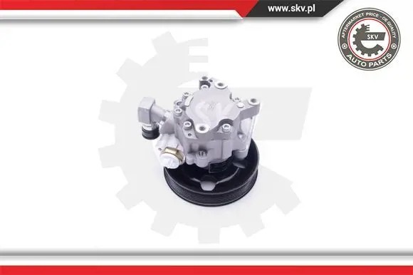 ESEN SKV 10SKV192 Насос гідропідсилювача 10skv192 esen skv
