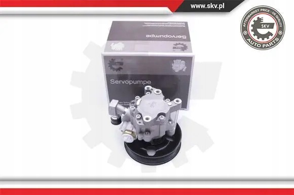 ESEN SKV 10SKV192 Насос гідропідсилювача 10skv192 esen skv