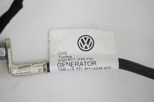 Volkswagen OE 05E971610Q 5Q0971230PD ПРОМІНЬ ДВИГУНА VW TOURAN II 5TA 25R 05E971610Q 1.5TSI DXD