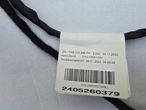 Volkswagen OE VW ID BUZZ Електрична проводка задніх лівих зсувних дверей 1T5970136