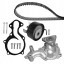 Dayco KBIOWP020 Комплект грм + водяний насос kbiowp020 dayco ford