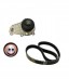 Китай ZAM.ED00411005 КОМПЛЕКТ ГРМ LOMBARDINI LDW442 492 DCI 550SOHC