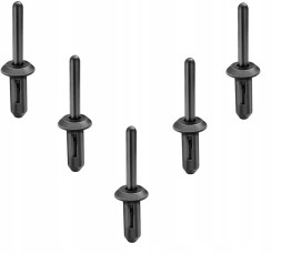 Good Rain 5X NIT 6X29 SPINKA UNIWERSALNA CHRYSLER GM USA FORD ЗАКЛЕПКА 6X29 УНІВЕРСАЛЬНА ЗАЖИМА CHRYSLER GM USA FORD
